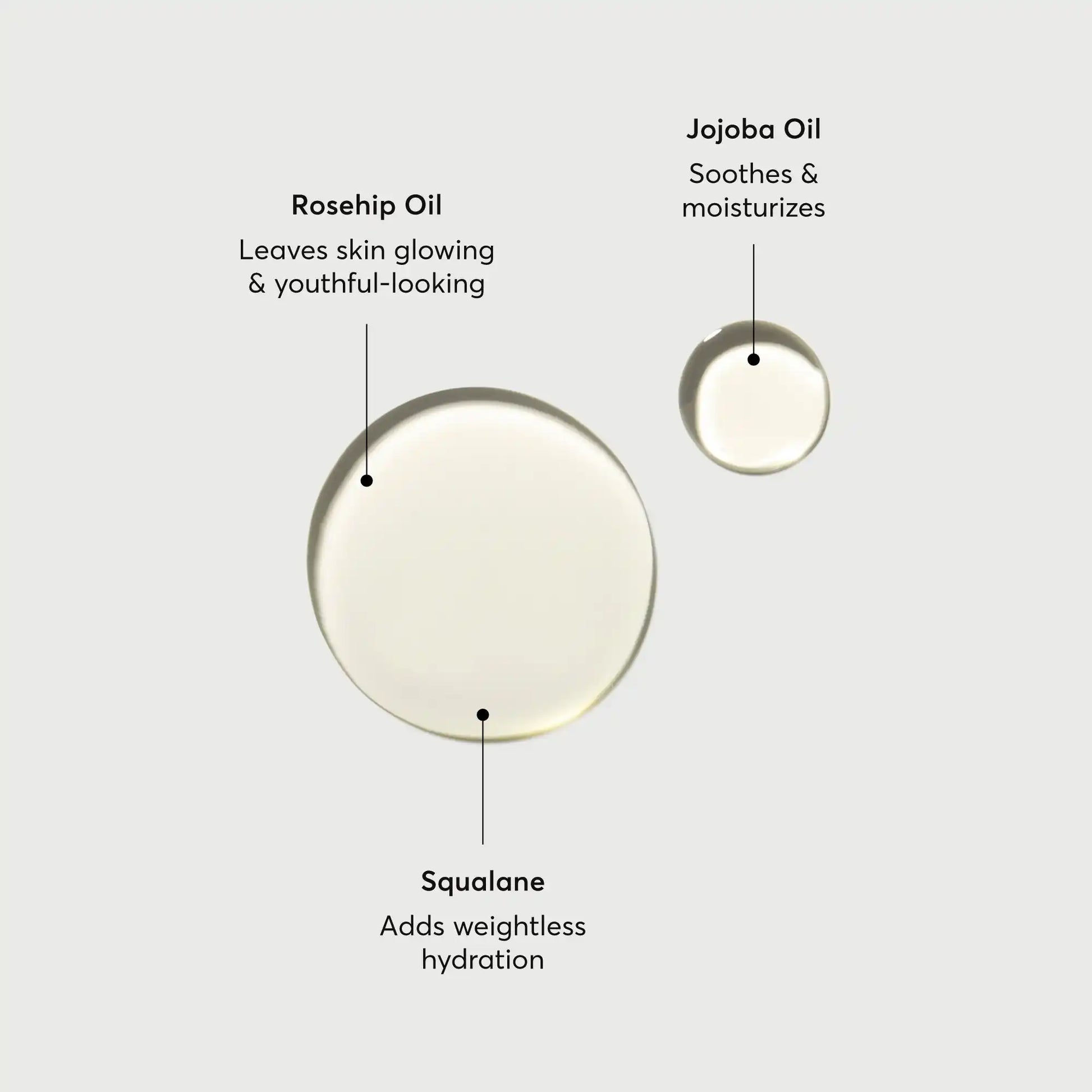 the-glow-getter-body-oil-k3 NATR-10115-Alt-Images-The-Glow-Getter-Body-Oil-01.webp