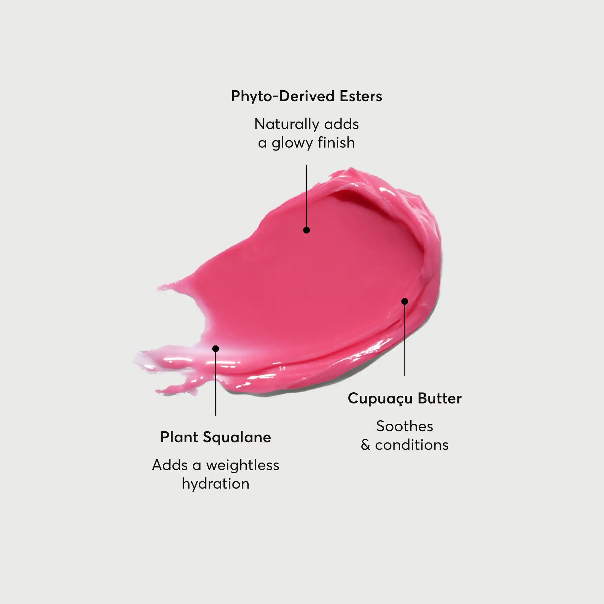 phyto-glow-lip-balm-camellia-v2 NATR-60075-Alt-Images-Phyto-Glow-Lip-Balm-Camellia-01.webp